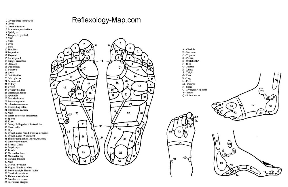 Karta över reflexpunkter på foten